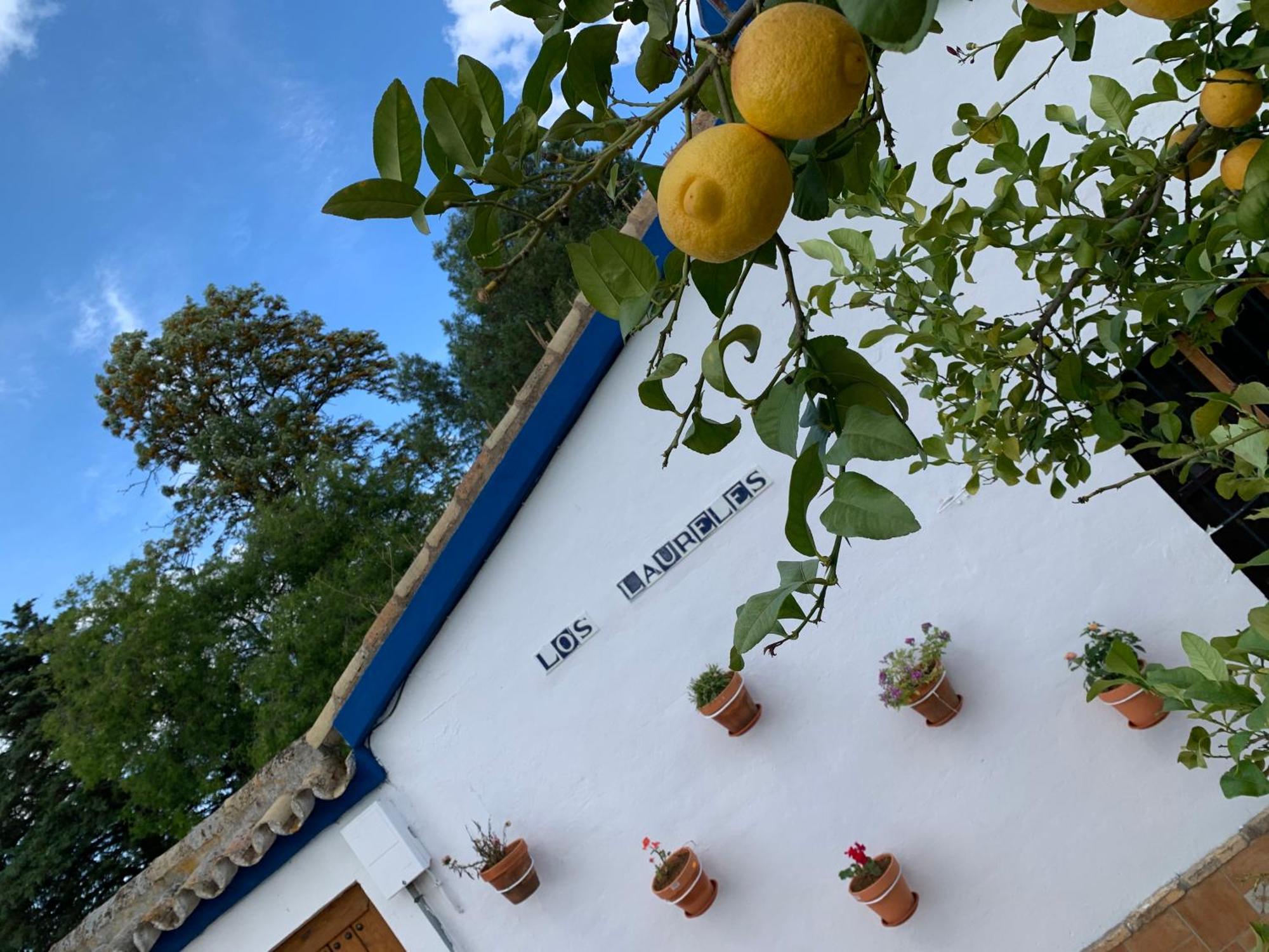 Casa Los Laureles Pilas Bagian luar foto